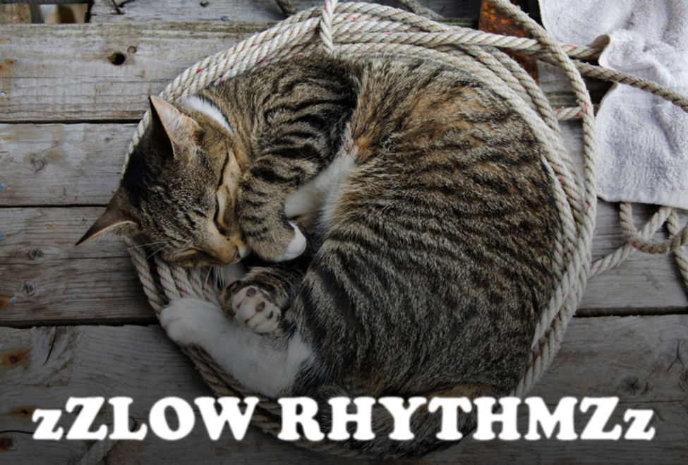 Sleeping cat - Slow rhythms