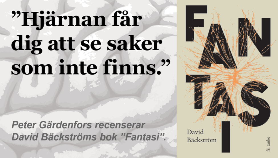 Illustration med text och omslaget till David Bäckströms bok "Fantasi".